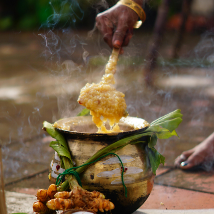 Collection image for: Makar Sankranti  Pongal
