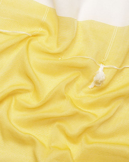 Colourblocked Pure Cotton Taant Saree