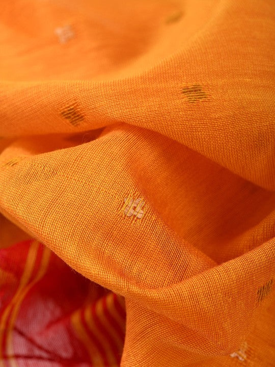 DESH BIDESH Ethnic Motifs Sequinned Taant Saree